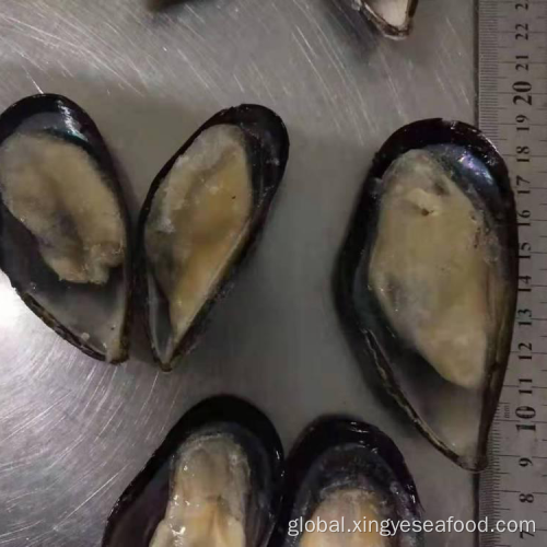Mussel Meat with Half Shell Frozen Half Shell Mussels Manufactory